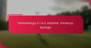Read more about the article Tiimihenkisyys 3-1-4-2: Viestintä, Ymmärrys, Synergia