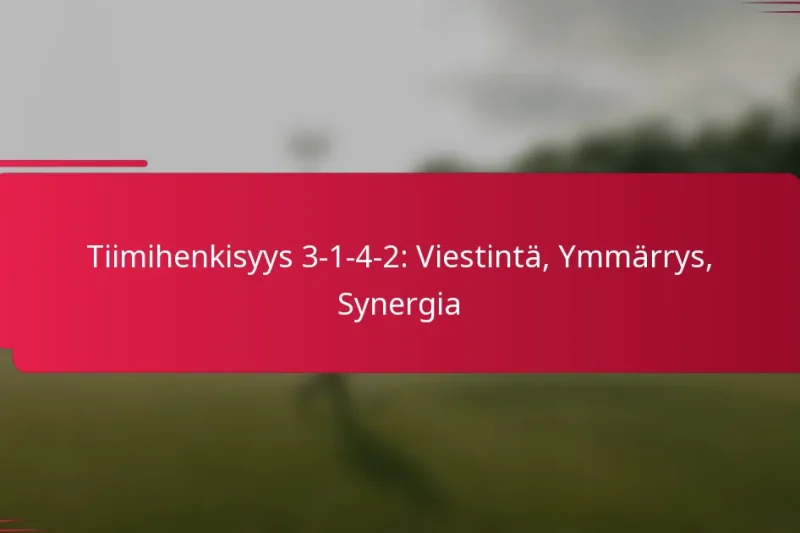 Tiimihenkisyys 3-1-4-2: Viestintä, Ymmärrys, Synergia