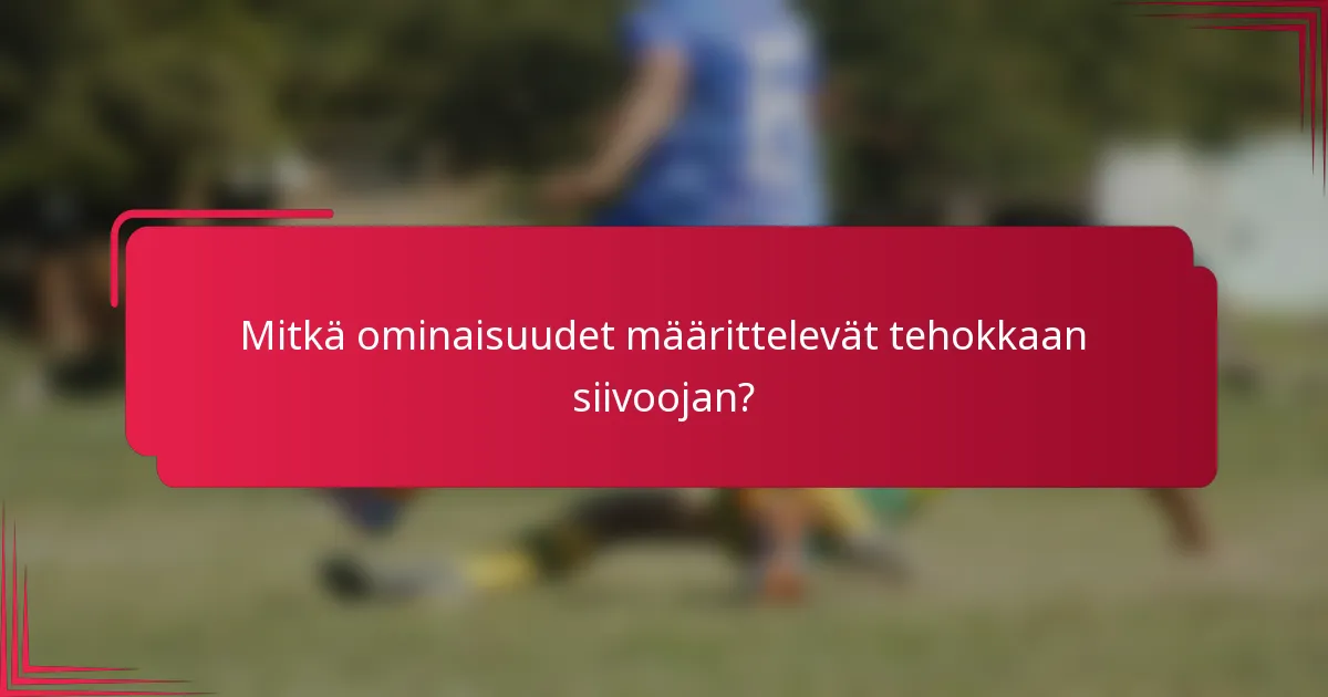 Mitkä ominaisuudet määrittelevät tehokkaan siivoojan?