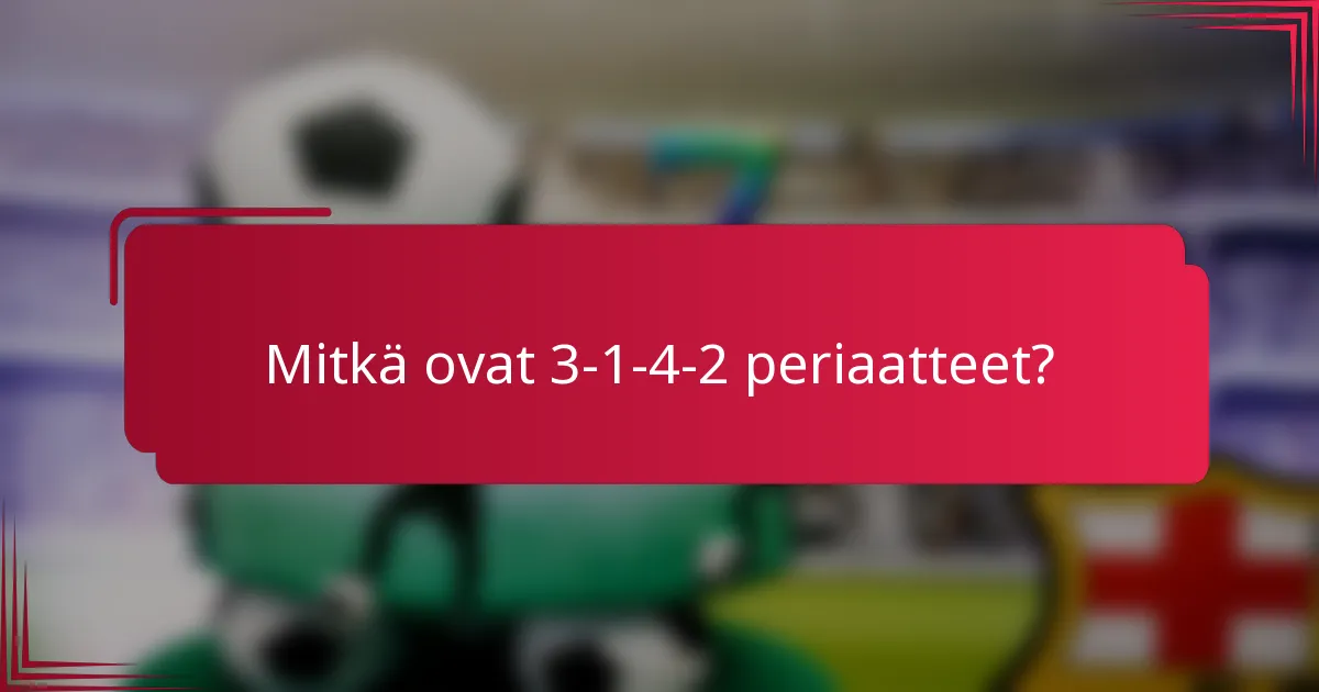 Mitkä ovat 3-1-4-2 periaatteet?