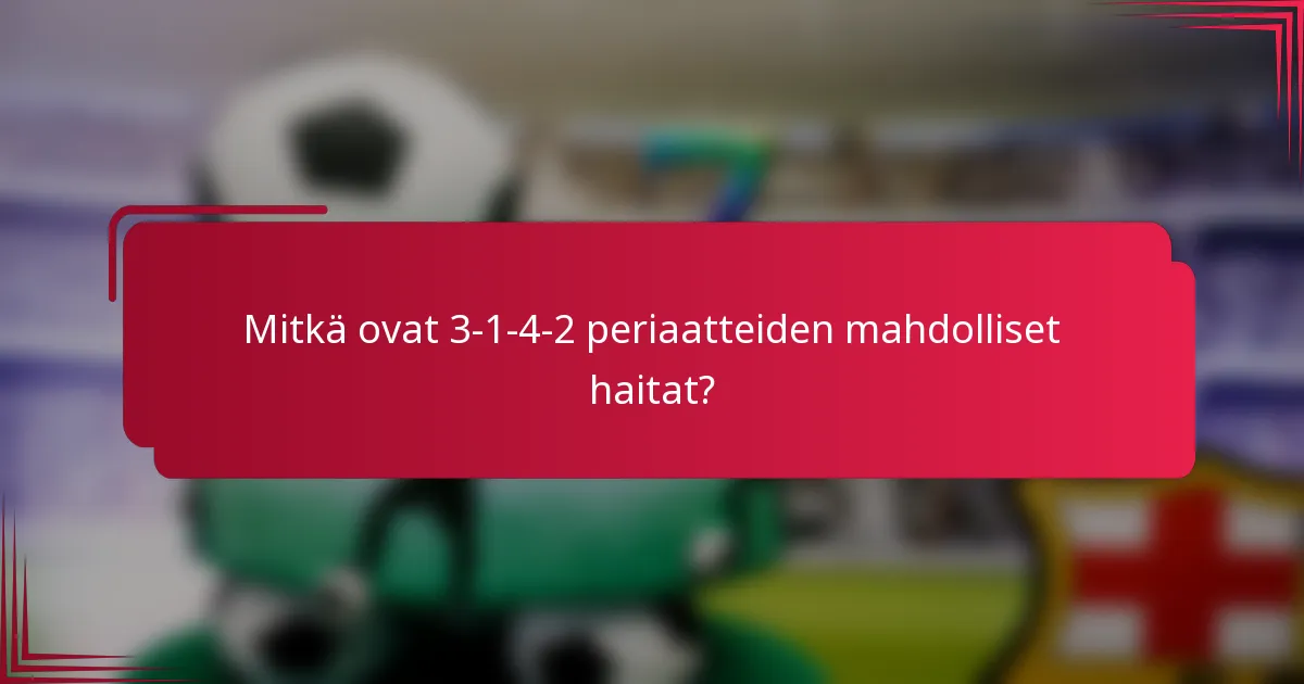 Mitkä ovat 3-1-4-2 periaatteiden mahdolliset haitat?