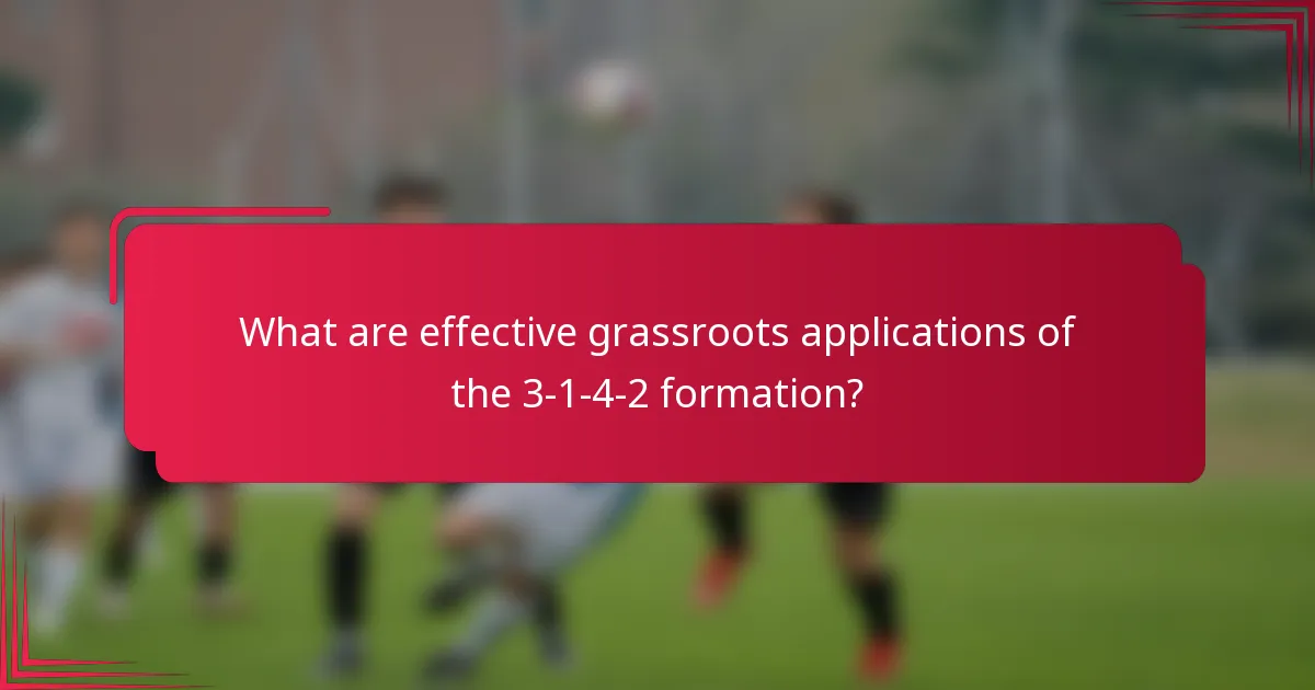 What are effective grassroots applications of the 3-1-4-2 formation?
